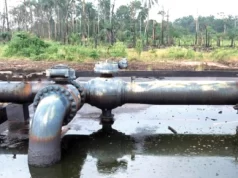 Bleeding economy: Stakeholders want stiffer penalties for oil thieves