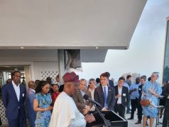 Nigeria Unveils Electricity Sector Investment Opportunities at African Energy Summit