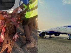 FAAN Distances Self from Asaba Airport Antelope, Aircraft Collision