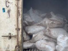 Customs Seizes Container with 10,603 Donkey Genitals on Kaduna–Abuja Highway