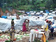 EU Releases Extra €250,000 Humanitarian Aid for Displaced Persons in Benue, Plateau