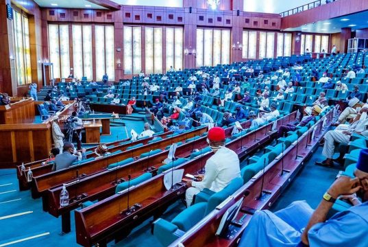 Reps Urge FG to Reinstate Biology as Compulsory Subject House of representatives