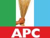 APC Dismisses Speculation Over Tinubu’s 2027 Running Mate
