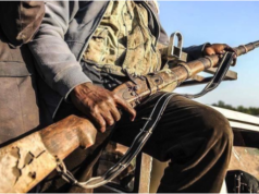 Local Vigilantes Repel Bandits’ Fresh Attack on Kwara Community