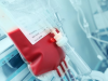 Jehovah’s Witnesses Review Blood Transfusion Doctrine