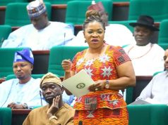 David Mark’s Daughter Joins Pro-Tinubu Campaign Group