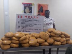 NDLEA Intercepts Cocaine Hidden in Dry Fish, Arrests Suspects in Multi-State Crackdown