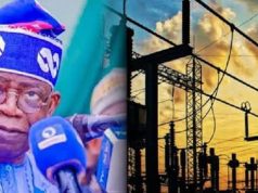 Tinubu Approves N3.3tn Plan to Clear Power Sector Debts, Boost Electricity Supply