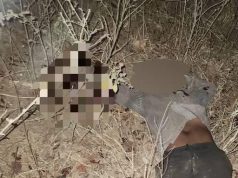 Troops Arrest Impostors, Neutralise Suspected Terrorists in Plateau Operations