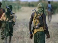 Kaduna Abduction: Two Women Killed for Resisting Rape in Captivity