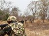 Troops Neutralize Two Terror Suspects, Arrest Kidnapper in Plateau Raids