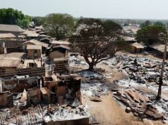 Bandits Kill Five Forest Guards in Kwara Community