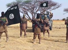 ISWAP Kills Police Officer, Two CJTF Members