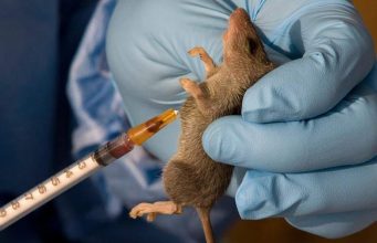 Oyo Confirms Lassa Fever Case, Activates Emergency Response