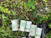 Ogun Police Kill Kidnapping Kingpin, Recover AK-47, N2m in Forest Raid