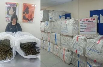 NDLEA Arrests Chinese Woman Over N2.1bn Drug Shipment at Lagos Airport