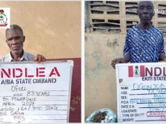 NDLEA Arrests 83-Year-Old, 78-Year-Old Grandpas in Nationwide Drug Crackdown