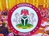 Senate Tightens Rules, Bars Single-Term Lawmakers from Top Leadership Roles