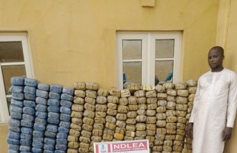 NDLEA Intercepts UK, Australia-Bound Cocaine, Destroys 65,000kg Skunk