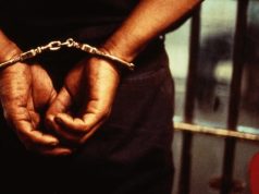 Bauchi Police Nab Suspect Over Fake Civil Service Job Letters