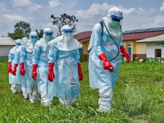NCDC Alerts Nigerians Over Rising Ebola Threat
