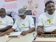 Pan-African Group Launches Digital Marketplace to Boost Intra-Continental Trade