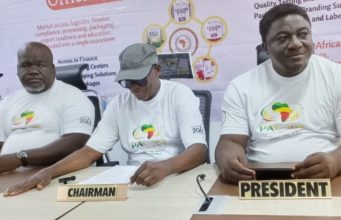 Pan-African Group Launches Digital Marketplace to Boost Intra-Continental Trade