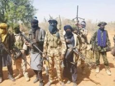 30,000 Fulani Militants Behind Nigeria’s Religious Attacks, U.S. Report Reveals
