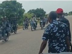 Armed Men in Viral Katsina Video Are Vigilantes, Not Bandits, Police Say