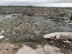 DPI Recycling Project Cuts Plastic Waste at Abuja’s Biggest Dump Site
