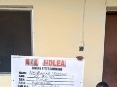 NDLEA Nabs Cocaine Courier, Detains Two PWD Suspects