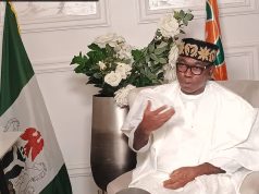 Nigeria Yet to Attain True Democracy, Says Adewole Adebayo
