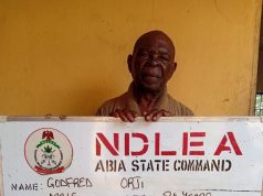 NDLEA Arrests Two Grandpas for Allegedly Supplying Drugs to Teenage Students