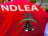 NDLEA Seizes N12.3bn Cannabis, Arrests China-Bound Cocaine Suspect