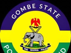 Police Rescue Abducted Eight-Year-Old in Gombe, Arrest Four Suspects