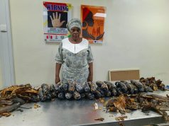 NDLEA Nabs Nigerian-British Grandma with 13kg Cocaine Hidden in Plantain Peels