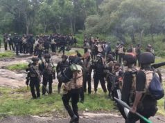 How Joint Security Team Rescued 44 Abducted Oyo Schoolchildren, Teachers