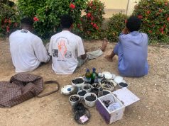 Osun Police Arrest Suspected Cultists, Recover Coffin, Charms