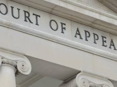 Appeal Court Voids Order Directing INEC to Deregister ADC, Others