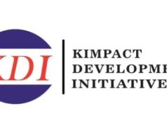 2027 Polls: KDI Urges INEC to Gazette 2026 Election Guidelines