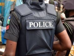 Police Nab 23 Foreigners Over Alleged Ponzi Scheme, Visa Fraud in Ogun