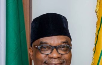 FG Deepens Diaspora Engagement, Strategic Partnerships Over Security, Development