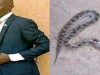 Plateau Pastor Dies After Snakebite as Gamakai Records Fresh Fatalities