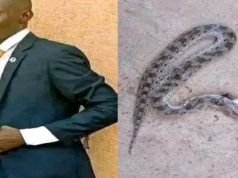 Plateau Pastor Dies After Snakebite as Gamakai Records Fresh Fatalities