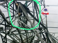 Vandal Crushed to Death Under Collapsed 330kV Transmission Tower in Delta