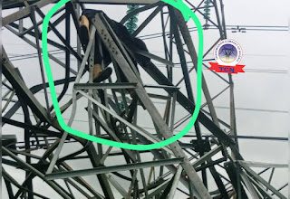 Vandal Crushed to Death Under Collapsed 330kV Transmission Tower in Delta