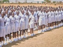 Customs Fixes Physical Screening For Successful Recruitment Candidates