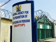 NAPTIP Rescues 118 Children Trafficked From North-Central Communities