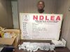 NDLEA Arrests Herbal Tea Businessman Over Cocaine Shipment to Saudi Arabia