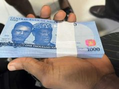 Fake N1,000 Notes Spread Across Borno Markets as Traders Count Losses Bundle of N1000 notes